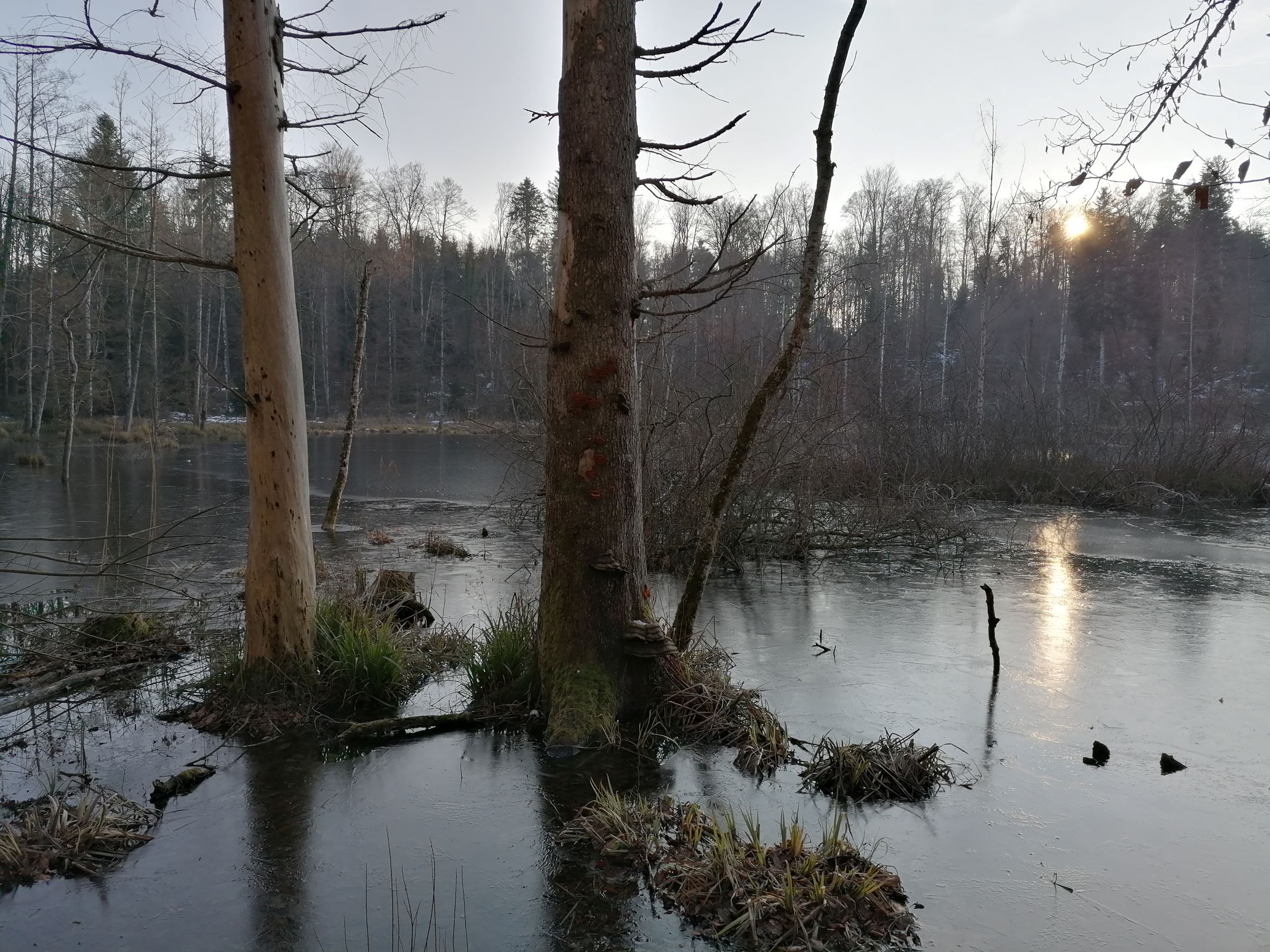 Gefrorener Weiher Cholmoos