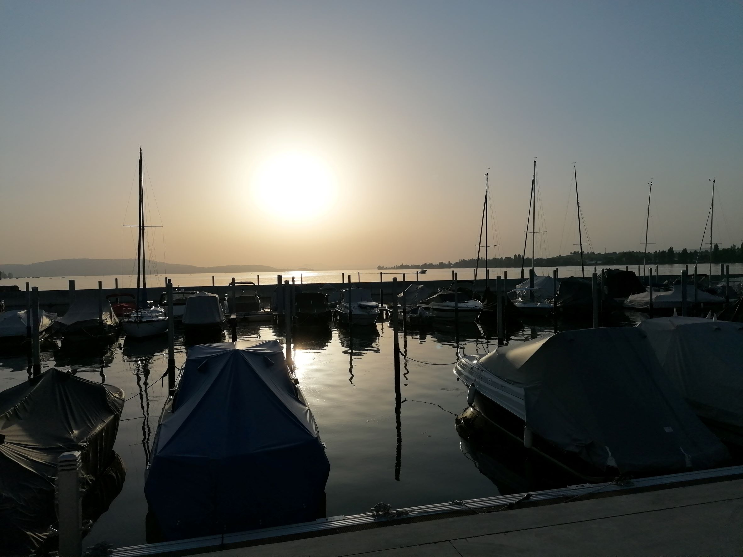 Sonnenuntergang im Hafen von Ermatingen