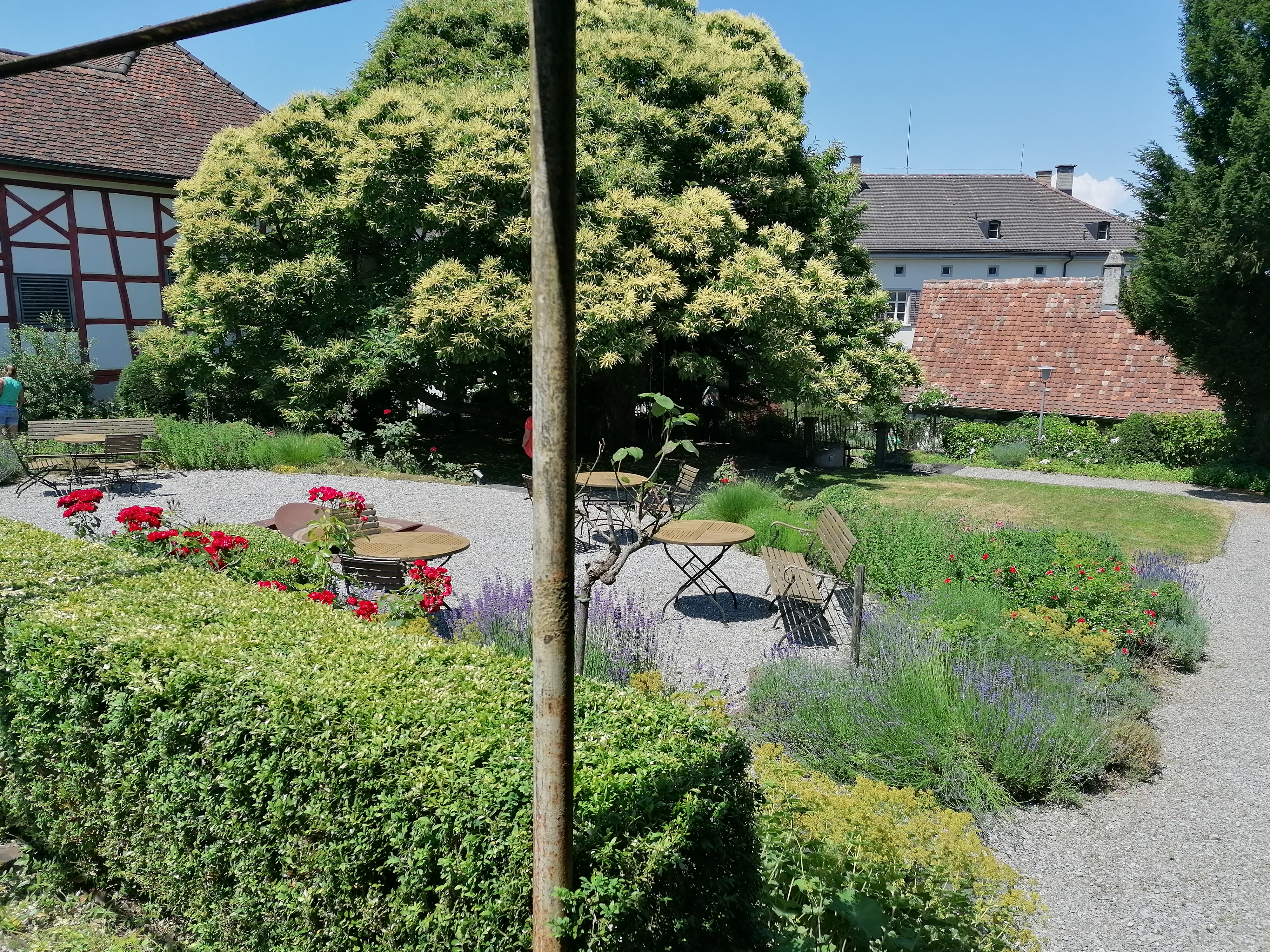 Garten in Ermatingen