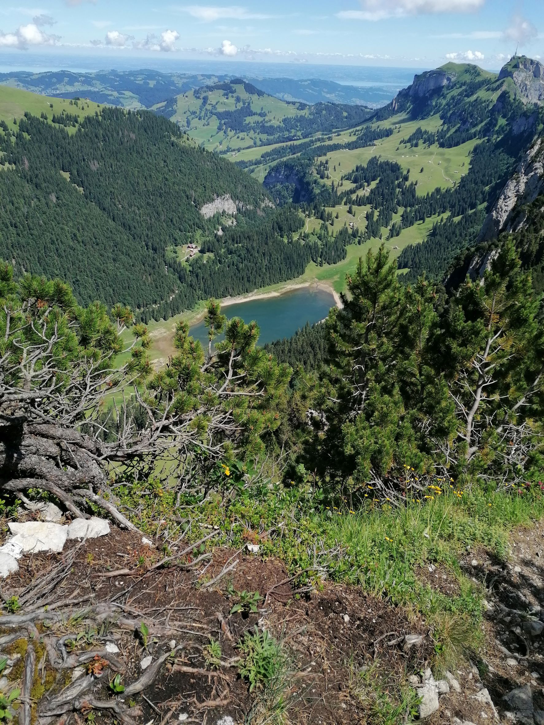 Alpstein Nähe Staubern Blick auf den Sämtisersee