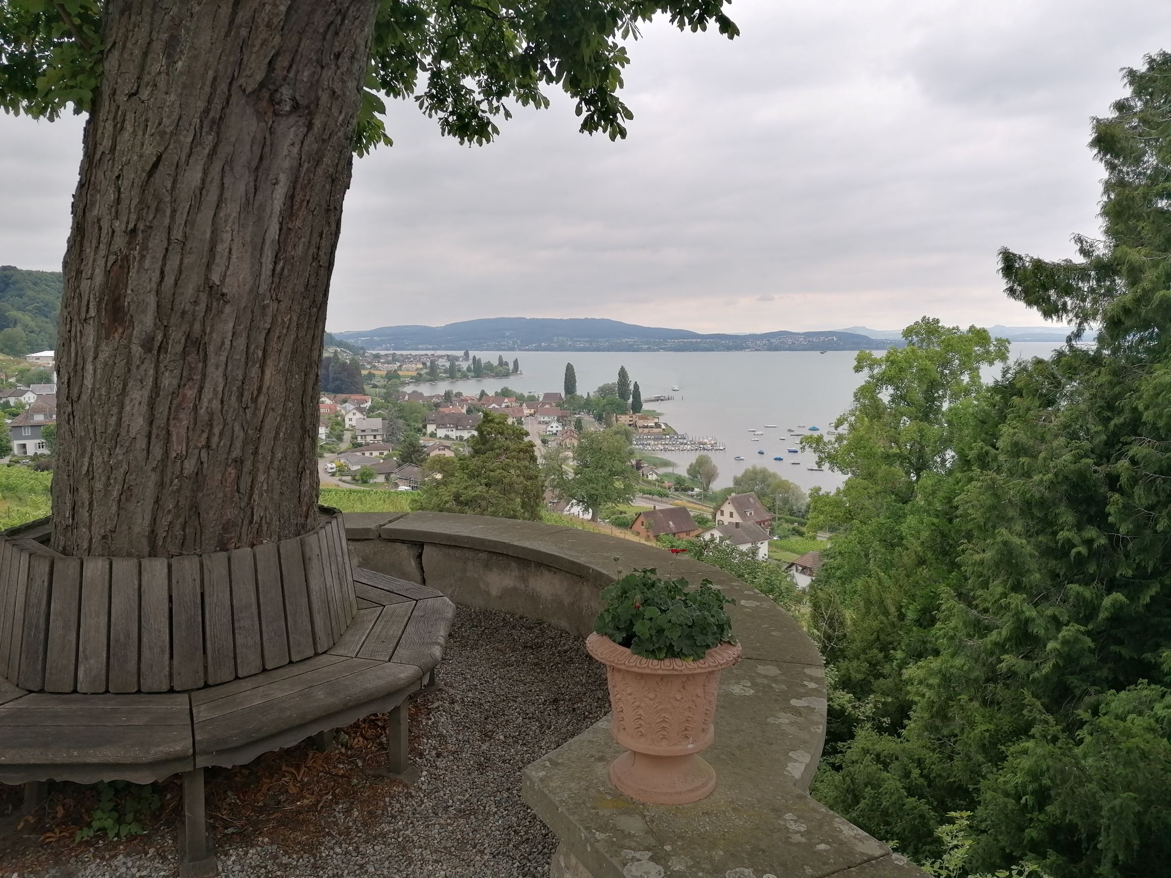 Arenenberg Aussicht auf den Untersee