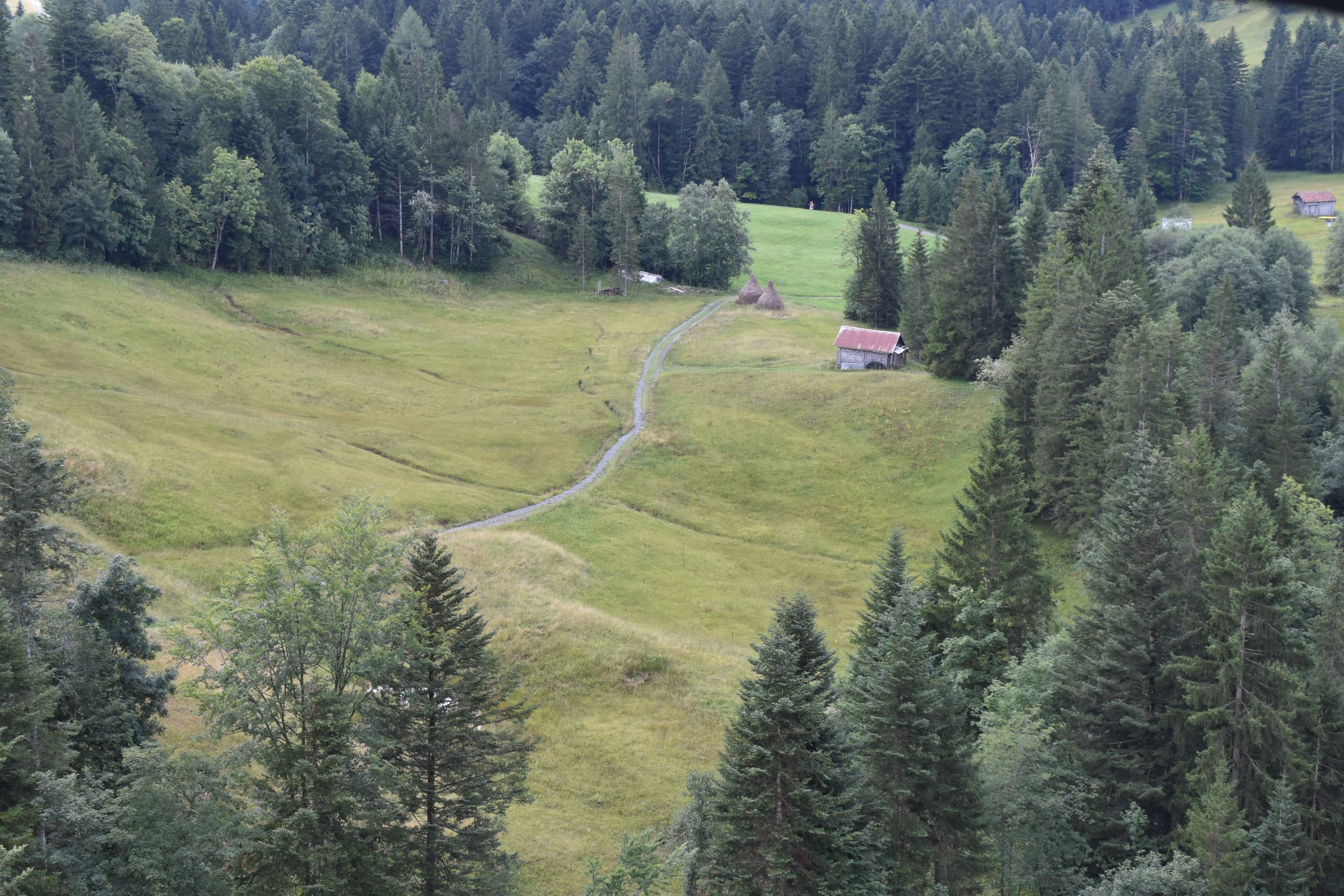 Aussicht von der Haengebruecke