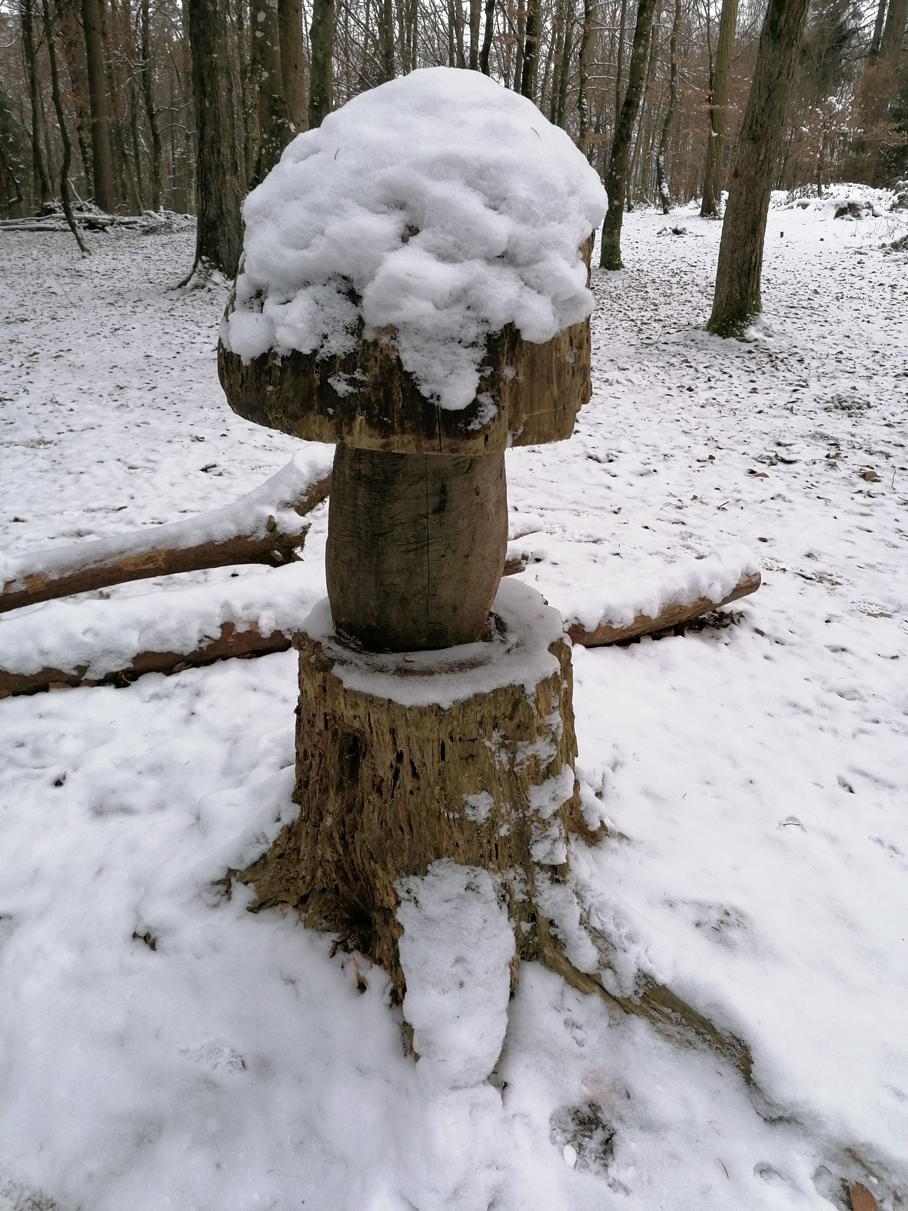 Verschneiter Holzpilz auf dem Esterli