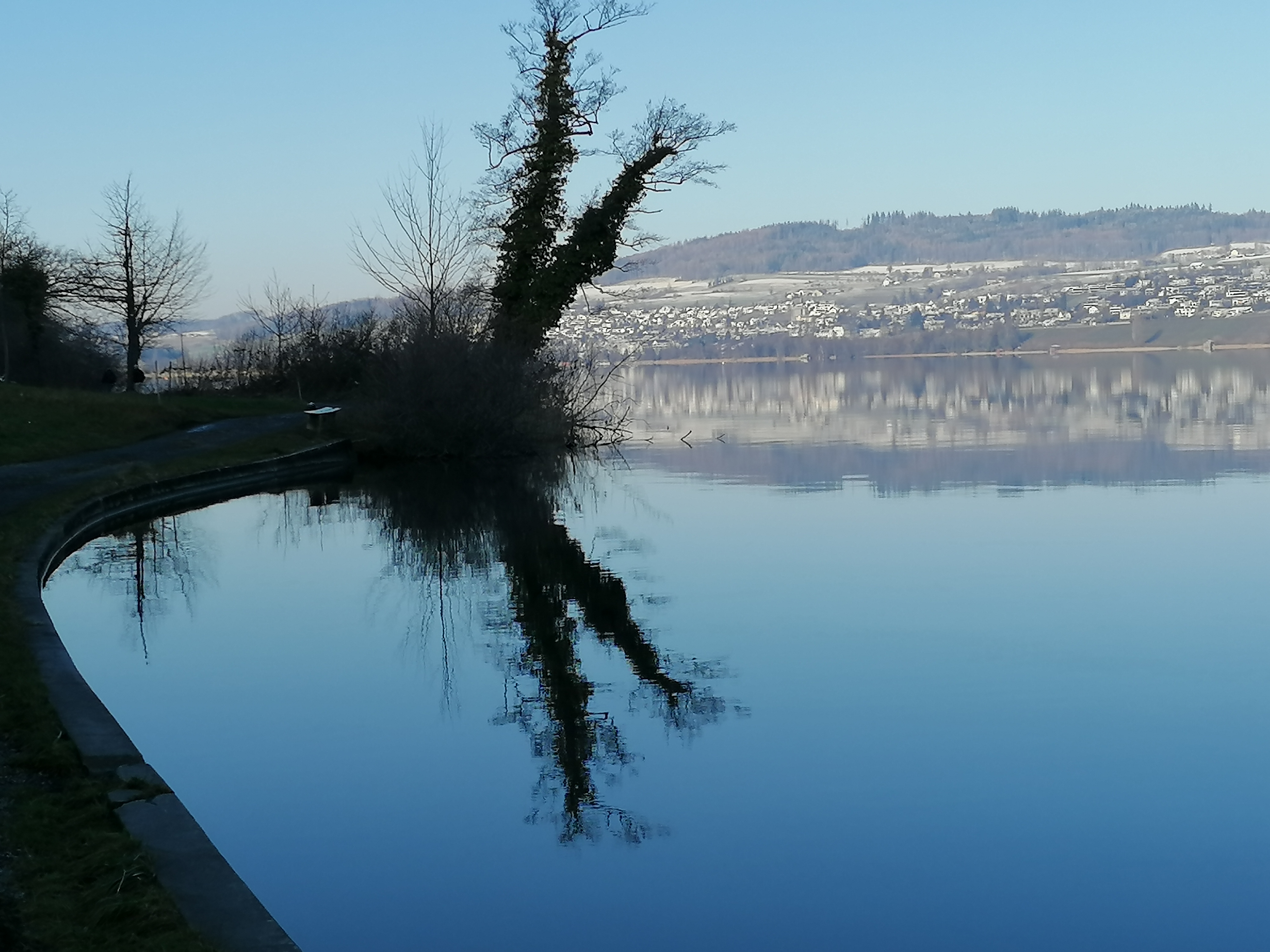 Winterlicher Hallwilersee bei Boniswil